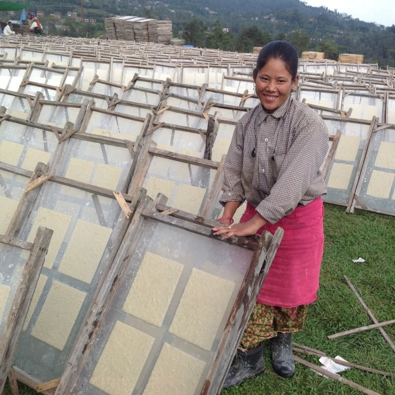 Luna-Leena rozet met konijnen/konijn goud - eco papier - 55ø cm - blauw/goud - handgemaakt in Nepal