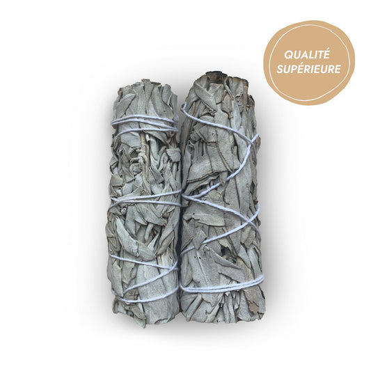 Witte Salie Sticks - Superieure Kwaliteit