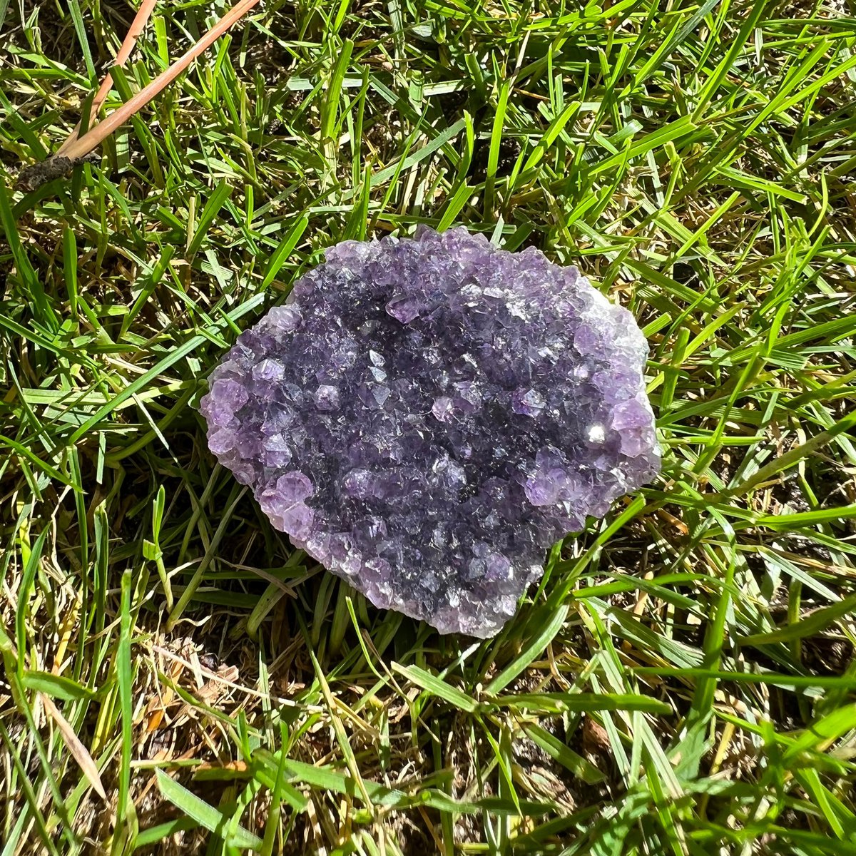 Druse in Amethyst from Uruguay